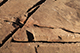 FileNo.199-230.jpg