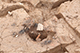 FileNo.199-231.jpg