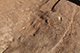 FileNo.199-236.jpg