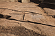 FileNo.199-239.jpg