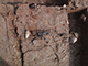 FileNo.199-242.jpg