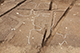 FileNo.199-264.jpg