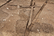 FileNo.199-265.jpg