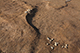 FileNo.199-271.jpg