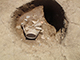 FileNo.199-333.jpg