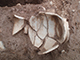 FileNo.199-337.jpg
