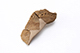 FileNo.199-396.jpg
