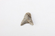 FileNo.199-410.jpg