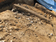FileNo.202-016.jpg
