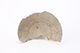 FileNo.202-024.jpg
