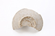 FileNo.202-026.jpg
