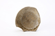 FileNo.202-030.jpg