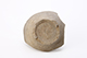 FileNo.202-032.jpg