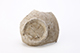 FileNo.202-035.jpg