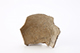 FileNo.202-036.jpg
