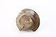 FileNo.202-041.jpg