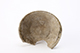 FileNo.202-042.jpg