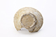 FileNo.202-044.jpg