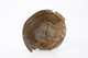 FileNo.202-045.jpg