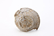 FileNo.202-047.jpg