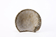 FileNo.202-048.jpg