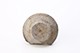 FileNo.202-050.jpg