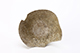 FileNo.202-051.jpg