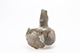 FileNo.202-055.jpg