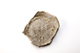 FileNo.202-077.jpg