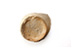 FileNo.202-078.jpg