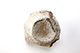 FileNo.202-081.jpg