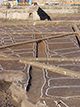 FileNo.203-018.jpg