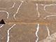 FileNo.203-019.jpg