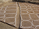 FileNo.203-025.jpg