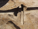 FileNo.203-027.jpg
