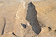 FileNo.203-034.jpg