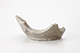 FileNo.203-046.jpg