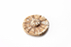 FileNo.203-058.jpg