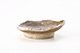 FileNo.203-064.jpg