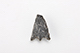 FileNo.203-073.jpg