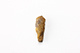 FileNo.203-081.jpg