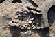 FileNo.205-027.jpg
