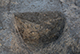 FileNo.205-028.jpg