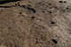 FileNo.205-029.jpg
