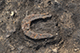 FileNo.205-036.jpg