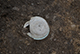 FileNo.205-040.jpg