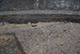 FileNo.205-041.jpg
