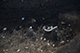 FileNo.205-049.jpg