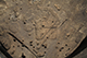 FileNo.205-051.jpg
