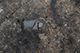 FileNo.205-053.jpg